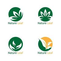 vert feuille la nature plante conceptuel symbole vecteur illustration