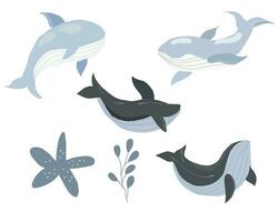 mignonne pastel baleine dessin animé illustration vecteur