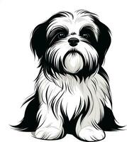 silhouette personnage shih tzu chien, mignonne logo. vecteur