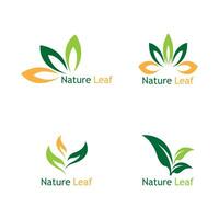 vert feuille la nature plante conceptuel symbole vecteur illustration