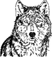 Loup animal lineart vecteur esquisser