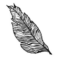 noir et blanc feuille. vecteur illustration Souligné sur une blanc Contexte. pour nature, éco et conception. dessiné à la main végétaux, une Cadre pour une carte postale.