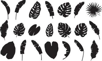 silhouette tropical feuilles, paume feuilles monochrome jungle exotique feuille sur blanc Contexte. vecteur