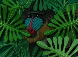 mandrill caché dans le fond des feuilles tropicales vecteur