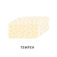 tranché tempeh enveloppé dans feuille. végétalien biologique fermenté soja. soja fromage isolé sur blanche. plat vecteur dessin animé illustration de laitier soya produit. traditionnel asiatique indonésien repas pour végétarien