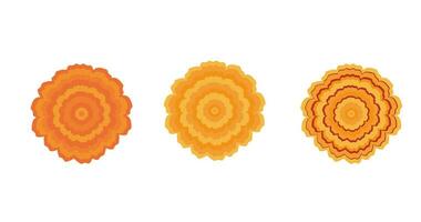 paquet de élégant Jaune Indien souci vecteur fleurs. magnifique Orange fleur avec luxuriant pétales. botanique floral élément. coloré plat isolé sur blanche. symbole de mexicain vacances journée de mort.