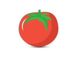 rouge tomate légume nourriture vecteur illustration