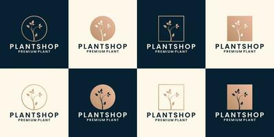 paquet plante magasin logo conception fleuriste, fleur magasin vecteur