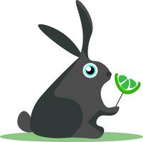 une noir lapin avec une vert sucette vecteur