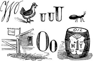 un illustration de une lettre toi, o, et une poulet vecteur