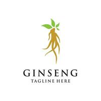 vecteur ginseng logo à base de plantes plante vecteur Naturel à base de plantes médicament ginseng à base de plantes boisson icône
