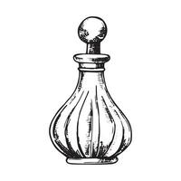 bouteilles avec parfum, vecteur dessin dans esquisser style. ancien