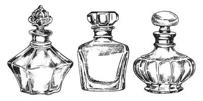 ensemble de bouteilles avec parfum, vecteur dessin dans esquisser style. ancien bouteilles