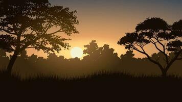 magnifique vecteur forêt lever du soleil paysage avec des arbres dans silhouette