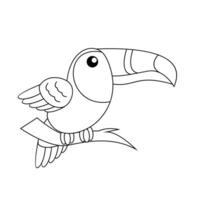 toucan oiseau dessin ligne mignonne noir blanc illustration vecteur