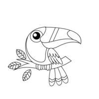 toucan oiseau dessin ligne mignonne noir blanc illustration vecteur