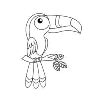 toucan oiseau dessin ligne mignonne noir blanc illustration vecteur