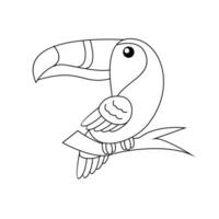 toucan oiseau dessin ligne mignonne noir blanc illustration vecteur