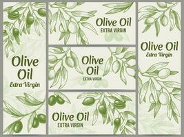 olive pétrole bannière. biologique huiles Étiquettes, vert olive branches et supplémentaire vierge vecteur étiquette vecteur illustration ensemble