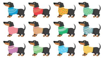 teckel vêtements. chiens porter avec branché motifs, chiot dans divers chandails. mignonne animaux domestiques, teckels mode dessin animé vecteur ensemble