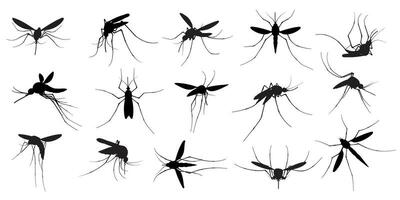 moustique silhouette. en volant les moustiques, essaim insectes diffusion maladies, dangereux infection et virus, paludisme et dengue. vecteur moucherons