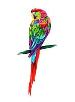 perroquet ara de peintures multicolores. éclaboussure d'aquarelle, dessin coloré, réaliste. illustration vectorielle de peintures vecteur