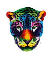 portrait de tête de jaguar à partir de peintures multicolores. éclaboussure d'aquarelle, dessin coloré, réaliste. illustration vectorielle de peintures vecteur
