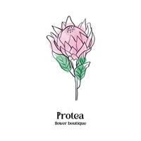 protea aquarelle fleur. moderne tropical plante illustration. vecteur floral carte modèle. main tiré botanique féminin logo conception pour floral boutique, beauté industrie. esthétique conception.