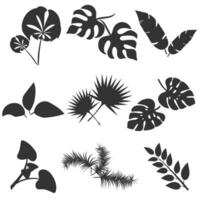 tropical feuilles silhouettes vecteur ensemble isolé sur blanc Contexte. différent feuille collection. jungle forêt flore. banane et exotique paume feuilles dans une plat dessin animé style. vecteur illustration.