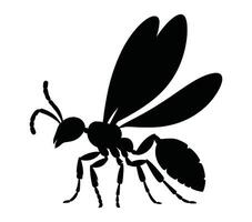 acacia fourmi silhouette icône. vecteur image.
