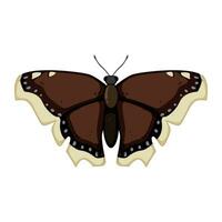 la nature papillon dessin animé vecteur illustration