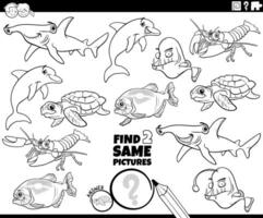 trouver deux même dessin animé mer la vie animaux activité coloration page vecteur
