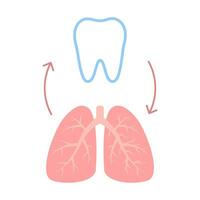 lien de en bonne santé les dents et poumons. relation santé de Humain respiration et dent. respiratoire et mastication unité. vecteur illustration