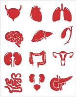 Humain interne organes. vecteur esquisser isolé illustration. main tiré griffonnage anatomie symboles ensemble.