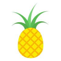 ananas icône vecteur. des fruits illustration signe. vitamines symbole. végétarien logo. nourriture marquer. vecteur