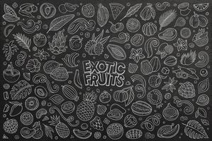 dessin animé exotique tropical des fruits objets et symboles griffonnage ensemble vecteur