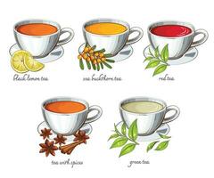thé collection, différent tasses de thé, noir rouge vert thé. thé réaliste illustration. parfait pour thé boutique, café bannière vecteur