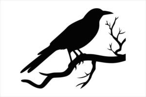 corbeau séance vecteur silhouette isolé impression vectorielle