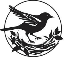 aérien talent artistique noir nid emblème oiseau s havre vecteur nid logo