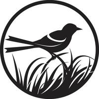 tisserand ailes noir oiseau nid logo à plumes nidification vecteur oiseau icône