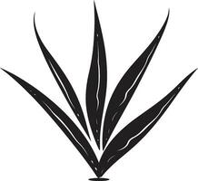 botanique éclat aloès Vera noir icône Frais bien-être vecteur aloès plante dans noir