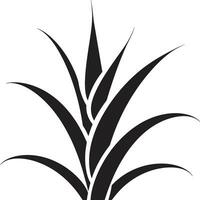 aloès vitalité noir vecteur emblème conception botanique tranquillité aloès plante noir icône