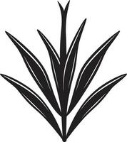 biologique éclat aloès Vera noir icône symbole la nature s harmonie vecteur aloès plante logo