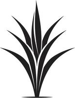 aloès essence noir vecteur emblème conception botanique oasis aloès Vera noir logo icône