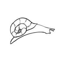 noir contour linéaire silhouette escargot. vecteur Facile plat graphique illustration pour le conception. une Facile ligne main dessin faune agrafe art pour imprimer, en tissu ou Contexte