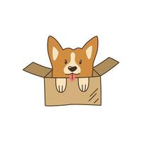 mignonne peu corgi dans une papier carton boîte. abri une animal de compagnie. kawaii vecteur illustration.