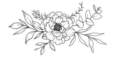 pivoine ligne dessin. noir et blanc floral bouquets. fleur coloration page. floral ligne art. bien ligne pivoine illustration. main tiré fleurs. botanique coloration. mariage invitation fleurs vecteur