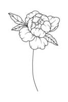 pivoine ligne dessin. noir et blanc floral bouquets. fleur coloration page. floral ligne art. bien ligne pivoine illustration. main tiré fleurs. botanique coloration. mariage invitation fleurs vecteur