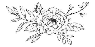 pivoine ligne dessin. noir et blanc floral bouquets. fleur coloration page. floral ligne art. bien ligne pivoine illustration. main tiré fleurs. botanique coloration. mariage invitation fleurs vecteur