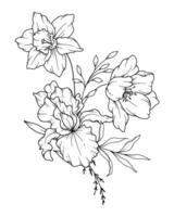 printemps fleurs ligne dessin. noir et blanc floral bouquets. fleur coloration page. floral ligne art. bien ligne fleurs illustration. main tiré fleurs. botanique coloration. mariage invitation fleurs vecteur